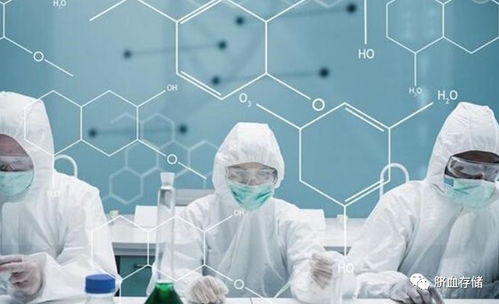 小身材，大理想 干细胞技术的无限未来