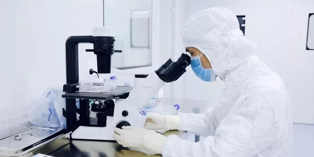 干细胞 珍贵生物资源，中国引领全球治疗技术新纪元