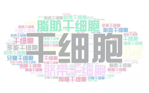 干细胞那么多,我存哪种好